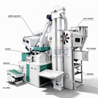 Machine de traitement du riz compacte de 1 tonne par heure, ligne de production de rizerie, blanchisseur-polisseur de riz 1000 kg/h