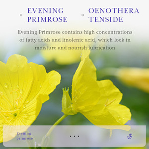 Hot Vitamin E <b>Body</b> <b>Lotion</b> Improve Rough Repairing Non-Greasy <b>Whitening</b> Wholesale Private Label <b>Body</b> <b>Lotion</b> - Product Image 4