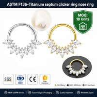 Anneau segmenté en titane ASTM F136 G23 avec cristaux, pour piercing de nez, boucles d'oreilles, bijoux pour femmes, bijoux de piercing corporel