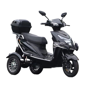 Tricycles motorisés Paige 1000W à trois roues, 60V-20Ah, avec pneus en aluminium, fabrication professionnelle - Product Image 2