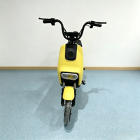 Vélo électrique pas cher 48V 2 places, vélo électrique 350W, vélo électrique pour trajets urbains, vélo électrique pour la ville en Amérique du Sud