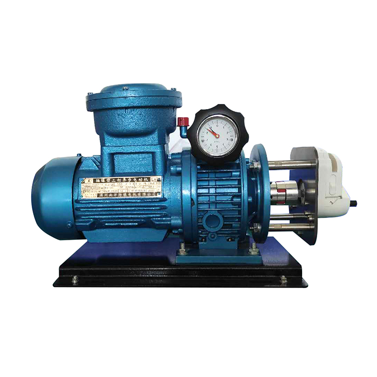 Explosion proof pumps. Explosion proof pumps