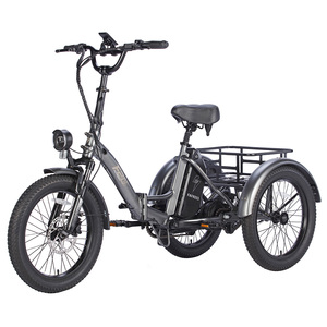 FAFREES F20 Tricycle robuste avec moteur 500W, capacité de charge de 180 kg, autonomie de 110 km, design pliable, vitesse de 30 km/h, 48V EU UK - Product Image 2