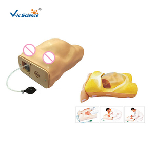 Infirmière formation Science médicale ordinateur modèle anatomique pour <span class=keywords><strong>femme</strong></span> <span class=keywords><strong>enceinte</strong></span> <span class=keywords><strong>femme</strong></span> <span class=keywords><strong>enceinte</strong></span> bassin <span class=keywords><strong>enceinte</strong></span> bassin féminin humain - Product Image 1