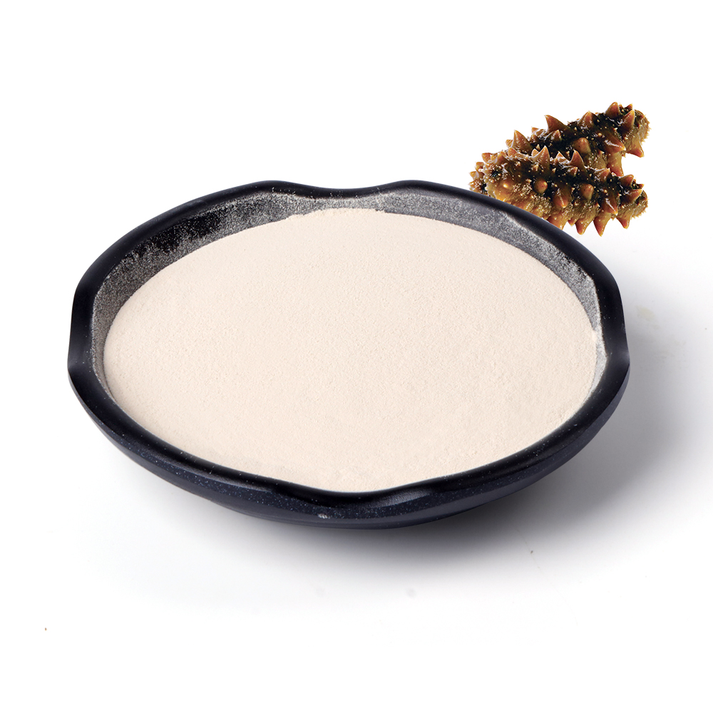 High Quality Enzymatic Hydrolysis Oligopeptide Sea Cucumber Collagen Peptide for Food Supplement