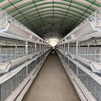 Système d'élevage de poulets en cages fabriqué en Chine, équipement avicole, prix, poules pondeuses, ferme