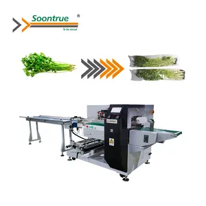 Automatische Verse Groente En Fruit Voedsel Pouch Flow Wikkelen Verpakkingsmachine Apparatuur