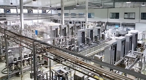 Línea de Producción de Máquinas Extrusoras de Alimentos para Hacer Bocadillos de Queso Totalmente Automática y Personalizada - Product Image 6