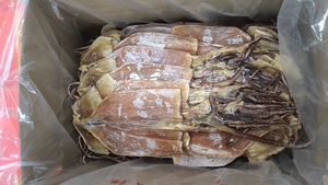 Good Quality Kin off <strong>Dried</strong> Peru <strong>Squid</strong> 6- 8 Pcs Per kg - Product Image 2