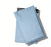 Sac d'expédition mat personnalisé pour l'emballage de vêtements de petites entreprises