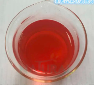 Hongda Supply天然トマトエキス<span class=keywords><strong>5</strong></span>% <span class=keywords><strong>10</strong></span>% リコペン粉末 - Product Image 3