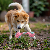 Ensemble de jouets à mâcher pour chien de luxe rose mignon et résistant avec balle en corde robuste pour la dentition des chiots