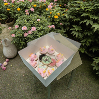 Vente en gros 8 présentoirs pour cupcake bento avec insert en papier et couvercle transparent en PET boîte d'emballage pour cupcake personnalisée