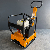 Compacteur à plaque vibrante à essence de type 250, haute profondeur de compactage, pour routes, sols et graviers, ODM