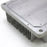 Radiateur de refroidissement en aluminium avec plaque à bride intégrée sur mesure, usinage CNC, perçage, extrusion, dissipateur thermique pour amplificateur de puissance