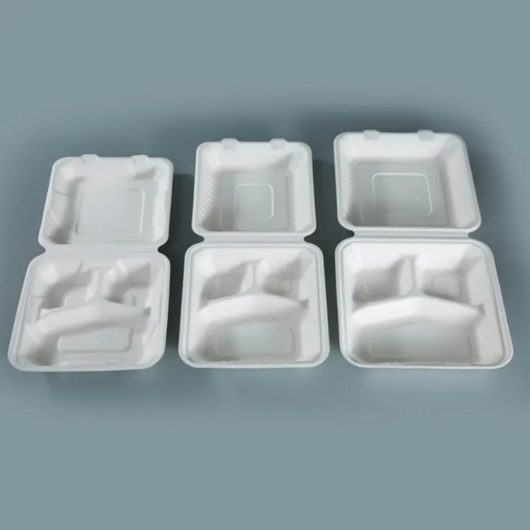 Kingwin biyobozunur çıkar kutuları tek kullanımlık kapaklı kutu şeker kamışı küspe gıda konteyner