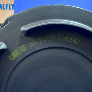 Filtro de Aire para Camión de Alta Calidad RS3517 P532966 AF25667 3I2014 43930254 249987A1 AE67007 6001854100 Motor de Camión - Product Image 4