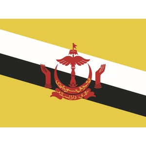Drapeaux du monde pour le Brunei : symboles géographiques régionaux et nationaux d'Asie, d'Afrique, d'Europe, d'Amérique, d'Australie et d'Antarctique - Product Image 1