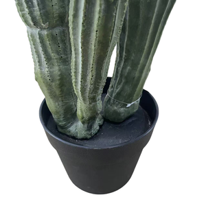 CHUANGFA 70cm PU <span class=keywords><strong>Cactus</strong></span> Artificial Venta caliente al por mayor personalizado barato plástico simulación desierto plantas para el hogar interior para - Product Image 3