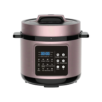 Vente directe usine – Autocuiseur électrique intelligent multifonction 11-en-1 en acier inoxydable 5L/6L pour voiture et maison (cuit riz, fait soupes)