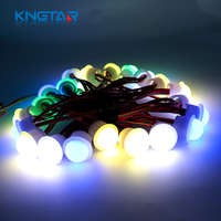 Lampu Titik LED RGB 12V 26mm IP65 Dapat Diredupkan, Dapat Diatur Alamatnya, dan Dapat Diprogram, Kecerahan Tinggi untuk Dekorasi Wahana Hiburan Taman Hiburan