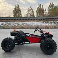 Karts électriques haute performance en gros pour loisirs, 1800W, pneus de 8 pouces, karts tout-terrain professionnels pour la course sur piste