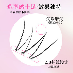 Cils inférieurs synthétiques Silky Miss Swallowtail, bande transparente invisible, plateau en plastique pour usage général - Product Image 5