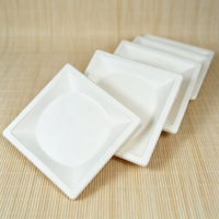 Assiette jetable carrée en bagasse de canne à sucre écologique, résistante, pour plats à emporter, pour restaurant