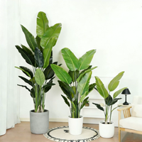 Plantes artificielles, arbre décoratif pour la maison, bonsaï, plantes en plastique, pots, aménagement paysager, plantes artificielles modernes, palmier d'intérieur