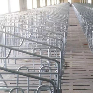 Sembrar caja de gestación de alta calidad embarazada cerdo caja de gestación en animales jaula para venta - Product Image 6
