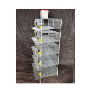 Système automatisé <span class=keywords><strong>de</strong></span> cages à volailles: HType Design pour les cages à cailles d'élevage <span class=keywords><strong>de</strong></span> cailles pour la production d'œufs - Product Image 2