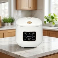 Autocuiseur multifonction numérique GB-MC981 avec contrôle par minuterie, 5L, 900W, boîtier en plastique, cuve intérieure en plastique, cuillère, tasse à mesurer, minuteur