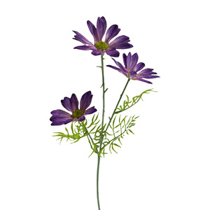 Flores Artificiales de Crisantemo de Verano Simuladas de 65 cm, Realistas, de Plástico, para Decoración de Bodas, Accesorios de Fotografía, Decoración del Hogar - Product Image 5