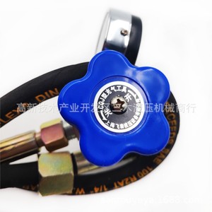 Cqj Hydraulic Accumulator Charging <b>Tool</b> 16 25 40Mpa High Pressure Nitrogen Filling Valve For <b>Shearing</b> Machine - Product Image 4