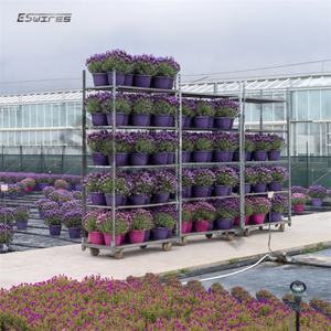 Chariots de transport de plantes pour centre de jardinage CC Danish Trolley, présentoir de fleurs, ferme - Product Image 6