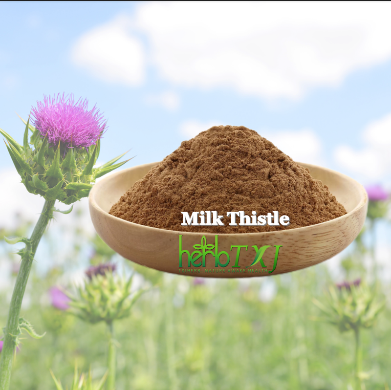 Natural Milk Thistle Extract Silybin Powder