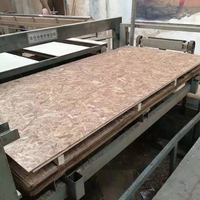Panneau OSB 3 de qualité marine, étanche, avec colle WBP, 4x8, 7/16, 9mm-17mm, pour la construction et la toiture