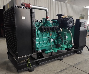 200kva 160KW 6LTAA8.9 Natural Gas/<strong>Biogas</strong> <strong>Generator</strong> Set Excitation Type Brushless Fuel Syngas/Biomass Gas - Product Image 2
