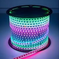 Personnalisé 24V 60LED/M 12V 10mm RGBIC LED Bande SMD5050 Programmable Serpent Lucse Flexible Lumières Alexa BT Usb Paysage