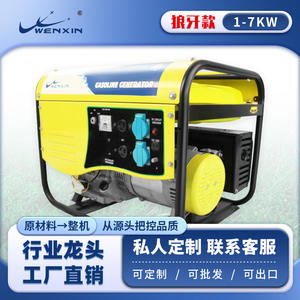 Générateur d'essence portable 1-10 kW pour extérieur, 220 V, refroidissement par air, monophasé/triphasé WX-5500E pour usage domestique et industriel - Product Image 5