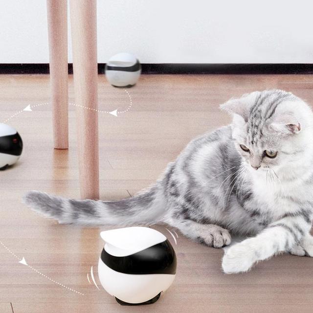 Smart App Control Pet Companion Robot Camera Electron Interactive Robotic Toys for Cat Children the Aged