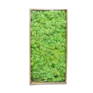 Préservé Irlandais décoratif mur mousses panneau gazon artificiel <span class=keywords><strong>mousse</strong></span> - Product Image 3