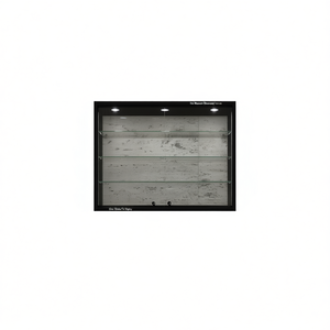 Vitrine de musée en fer 95x25x80 cm avec 3 spots LED et 3 étagères en verre pour l'exposition - Product Image 2