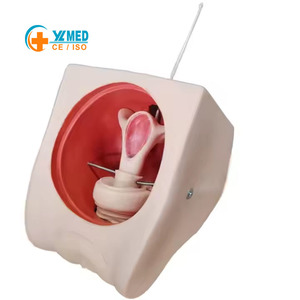 Modelo de Práctica Anticonceptiva Femenina Yulin, Aplicable en Medicina para la Educación Continua en <span class=keywords><strong>Obstetricia</strong></span> <span class=keywords><strong>y</strong></span> Ginecología, CE/ISO - Product Image 1