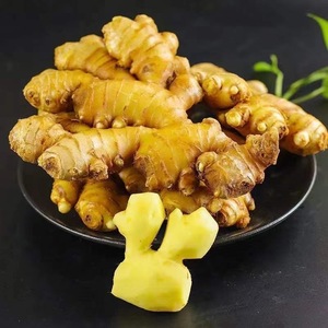 <span class=keywords><strong>2025</strong></span> Tốt Nhất Bán Giá Thấp Xuất Khẩu Chất Lượng Cao Hữu Cơ Gừng Chất Lượng Cao Gừng Tươi Trung Quốc Gừng Bán Buôn - Product Image 2