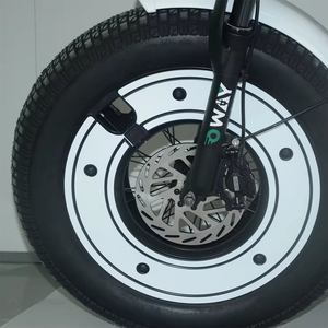 La Mejor Bicicleta Eléctrica con Neumáticos Anchos, Incluyendo Bicicleta Eléctrica Urbana y Bicicleta Eléctrica Todoterreno de Fábrica SK-2, Bicicleta Eléctrica con Neumáticos Anchos - Product Image 3