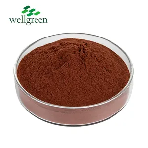 High Quality Grapeseed Grape Proanthocyanidins Procyanidin OPC Powder 95% Grape Seed Extract