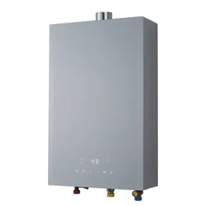 Calentador de agua a gas de temperatura constante 8L/10L/12L de precio competitivo personalizado de la industria para el hogar