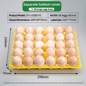 Vassoio per Uova in CPET a 30 Fori, Grande, Durevole, Giallo, Materiale Ecologico - Product Image 4