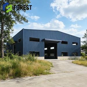 Taller de Estructura de Acero Ligero para Comercio Electrónico en el Sudeste Asiático, Malasia, Diseño Industrial Moderno con Viga en I, Construcción Rápida - Product Image 1